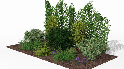 Spring awakening of the flowering garden screen, with blooming perennials in the foreground