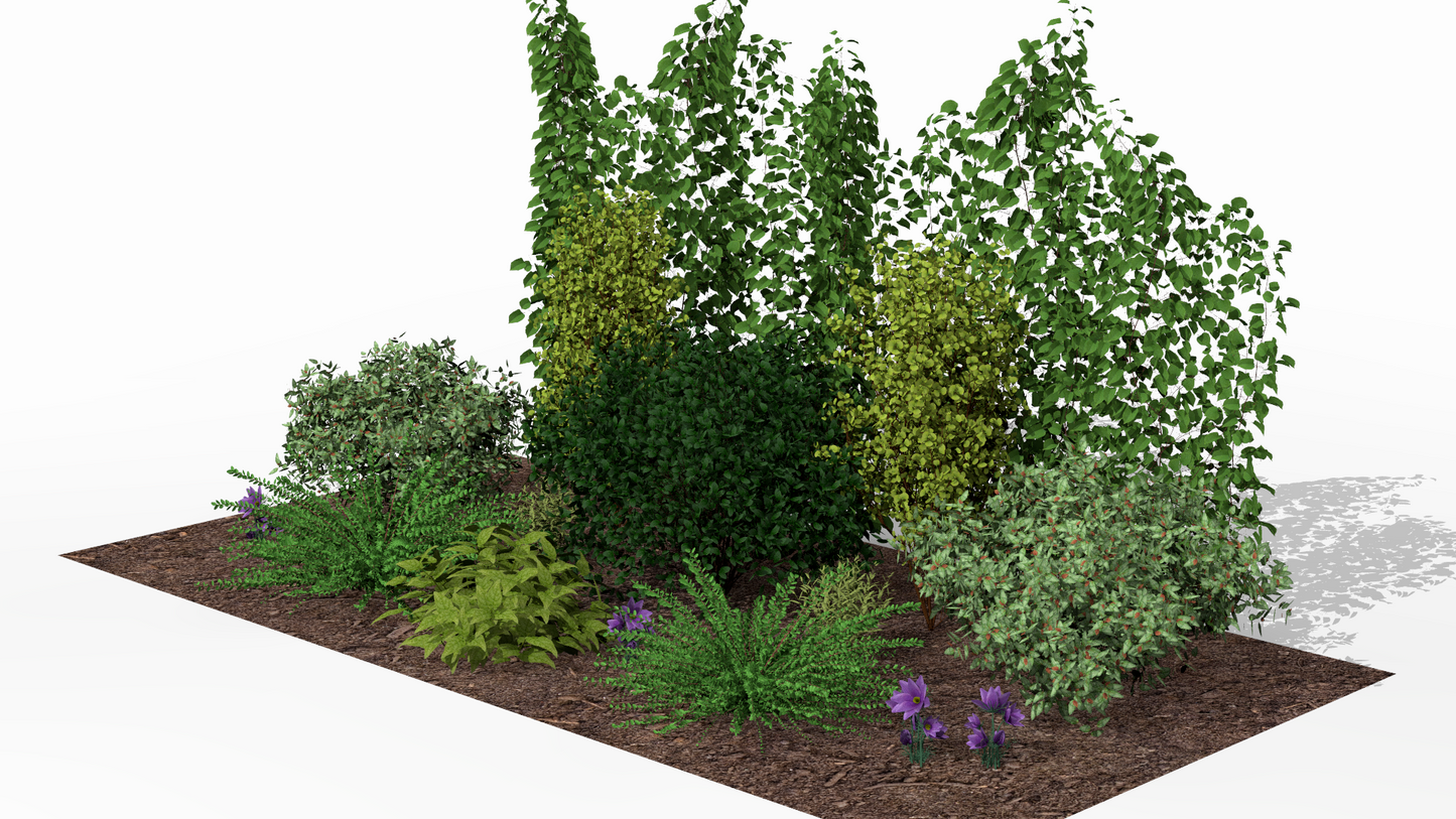 Spring awakening of the flowering garden screen, with blooming perennials in the foreground
