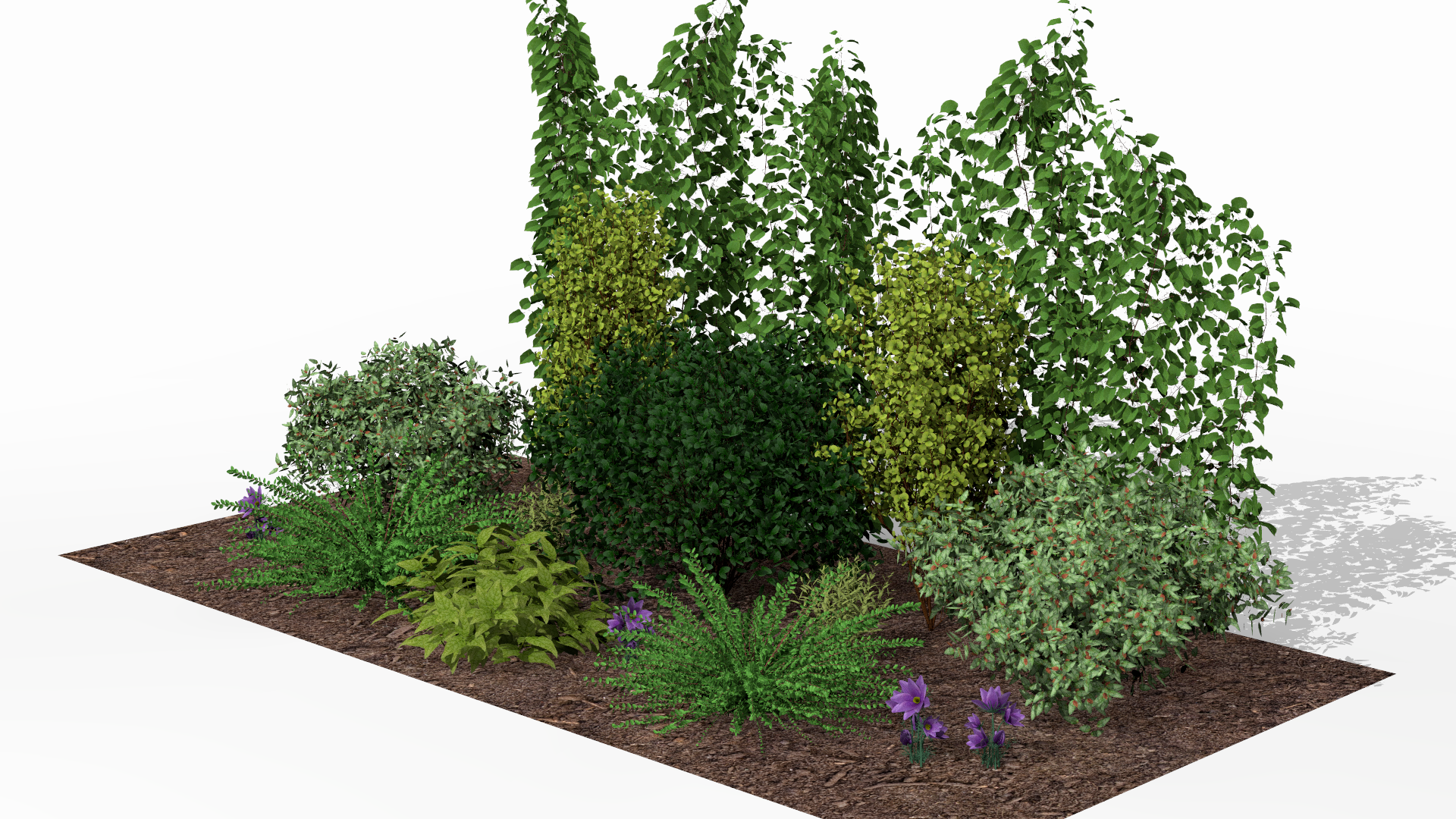 Spring awakening of the flowering garden screen, with blooming perennials in the foreground