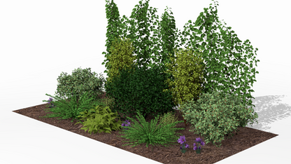 Spring awakening of the flowering garden screen, with blooming perennials in the foreground