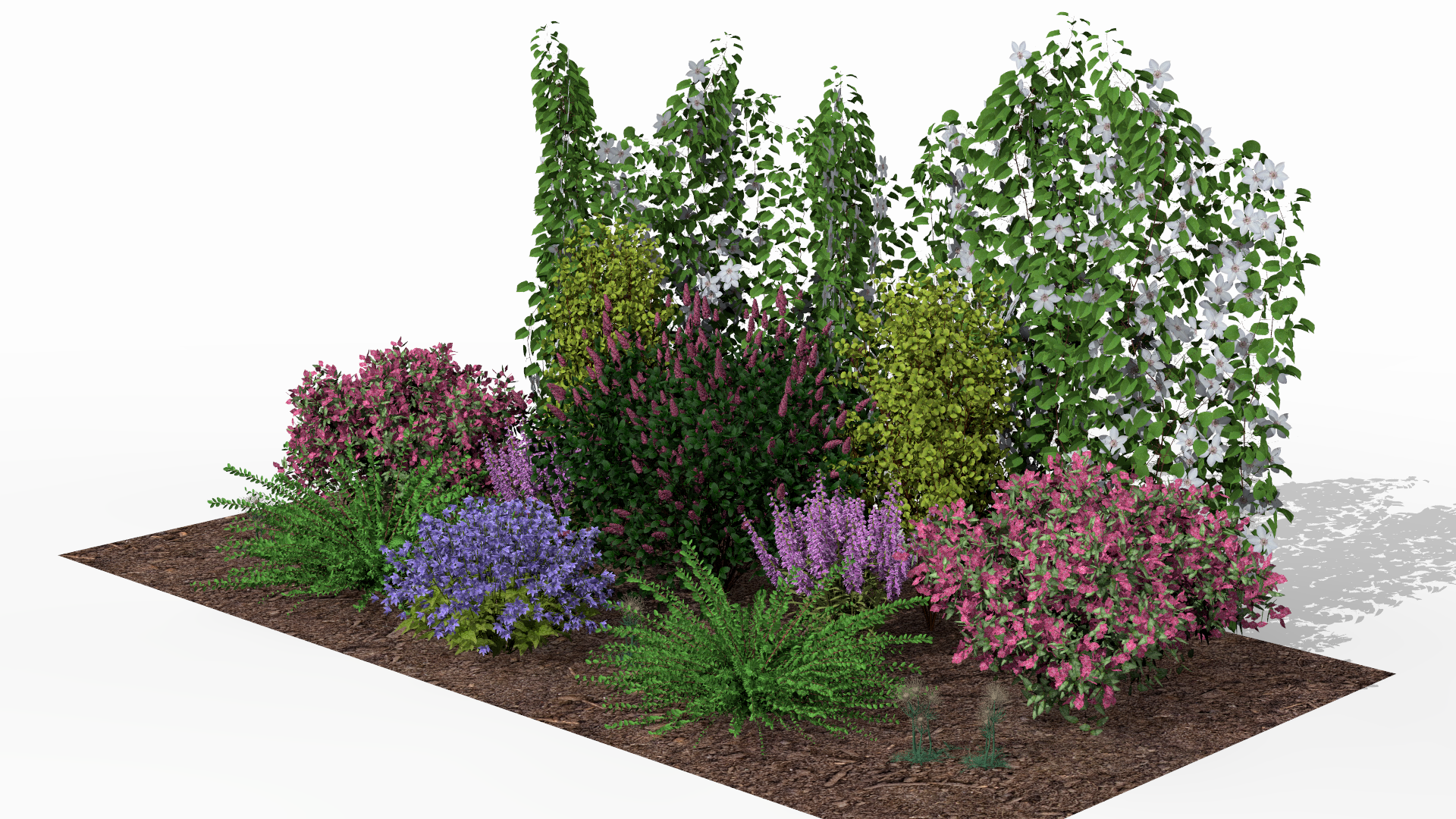 View of the garden bed at the height of the summer season