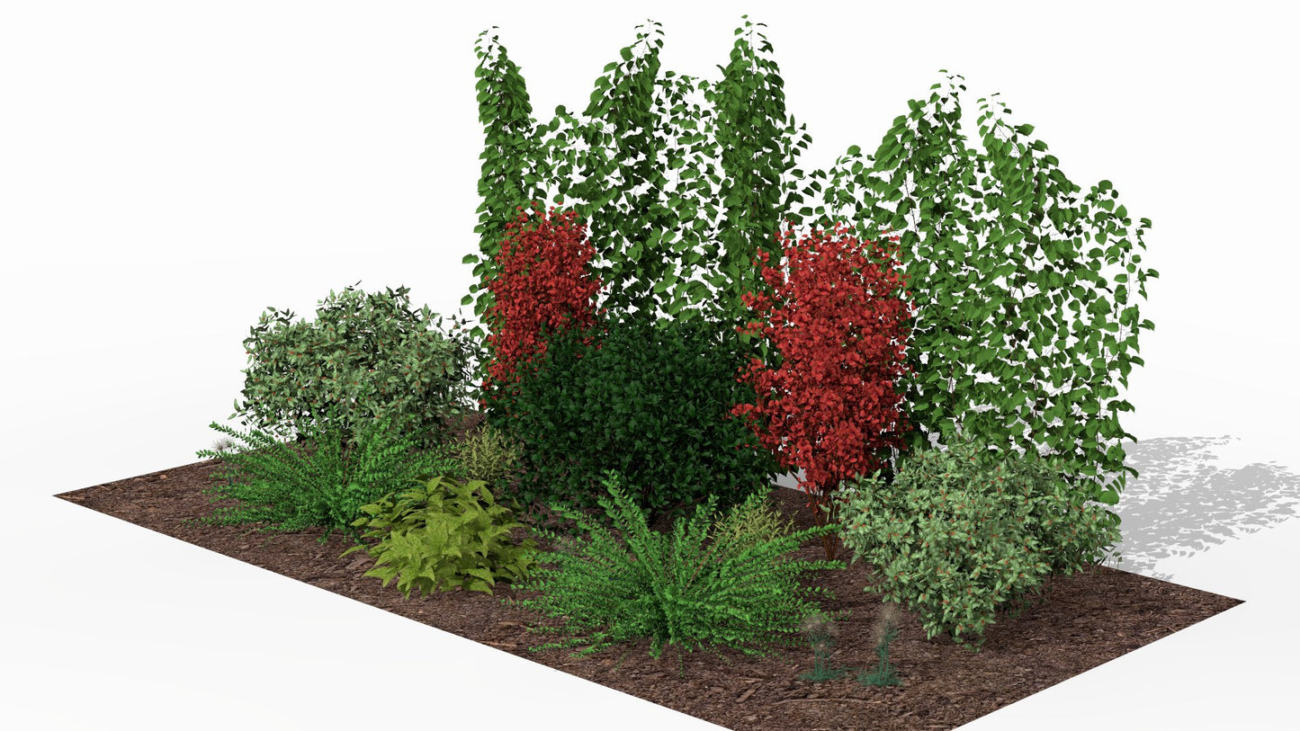 Fiery autumn accents light up the garden bed, adding dynamism to the composition even after the main flowering season has ended