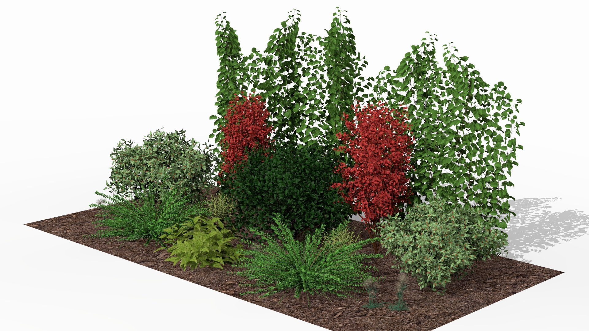 Fiery autumn accents light up the garden bed, adding dynamism to the composition even after the main flowering season has ended