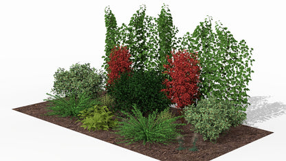Fiery autumn accents light up the garden bed, adding dynamism to the composition even after the main flowering season has ended