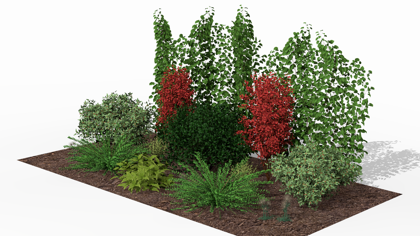 Fiery autumn accents light up the garden bed, adding dynamism to the composition even after the main flowering season has ended