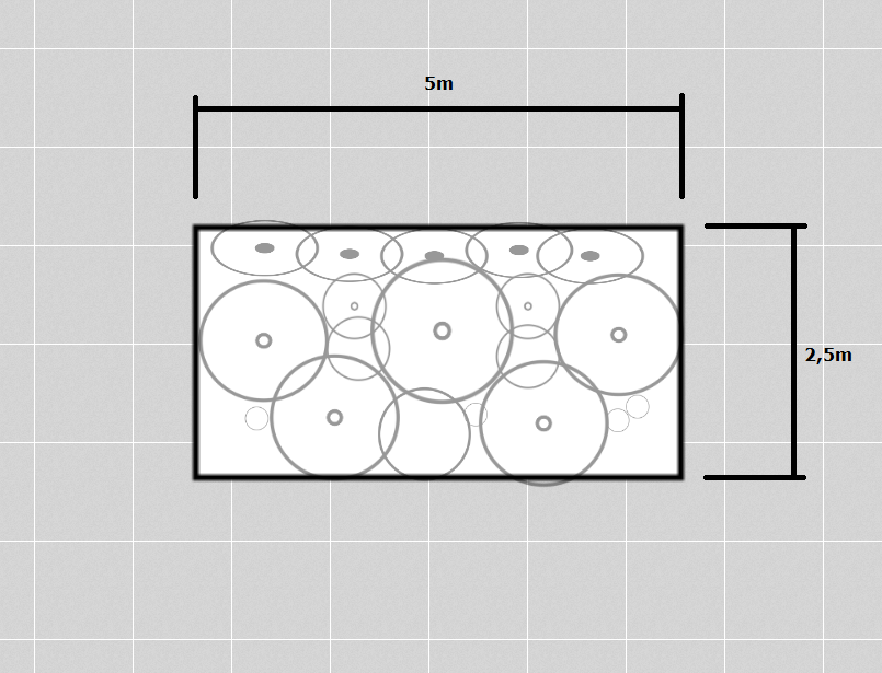 Garden bed plan with dimensions and plant placement