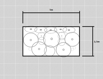 Garden bed plan with dimensions and plant placement