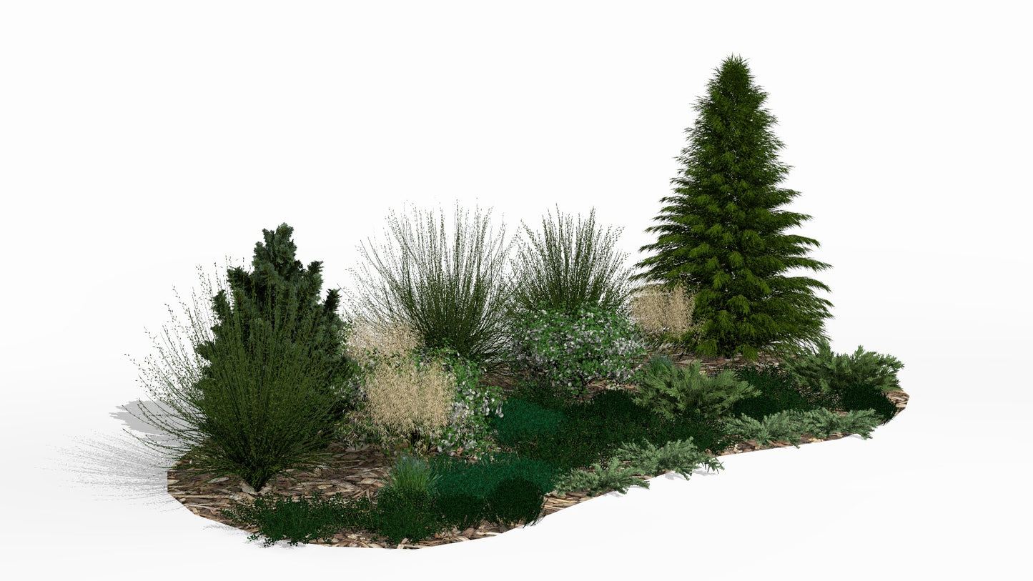 In its summer display, the bed is dominated by a harmony of varied green shades, broken by the golden plumes of ornamental grasses and the delicate white flowers of spireas