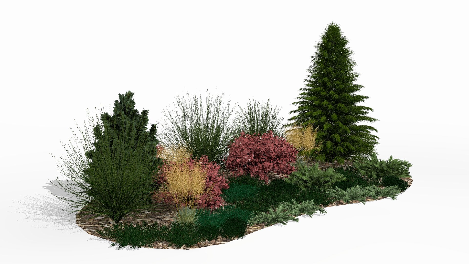 In autumn the bed gains a new dimension thanks to purple leaf tones and golden grasses, which contrast harmoniously with the unchanging green of the conifers