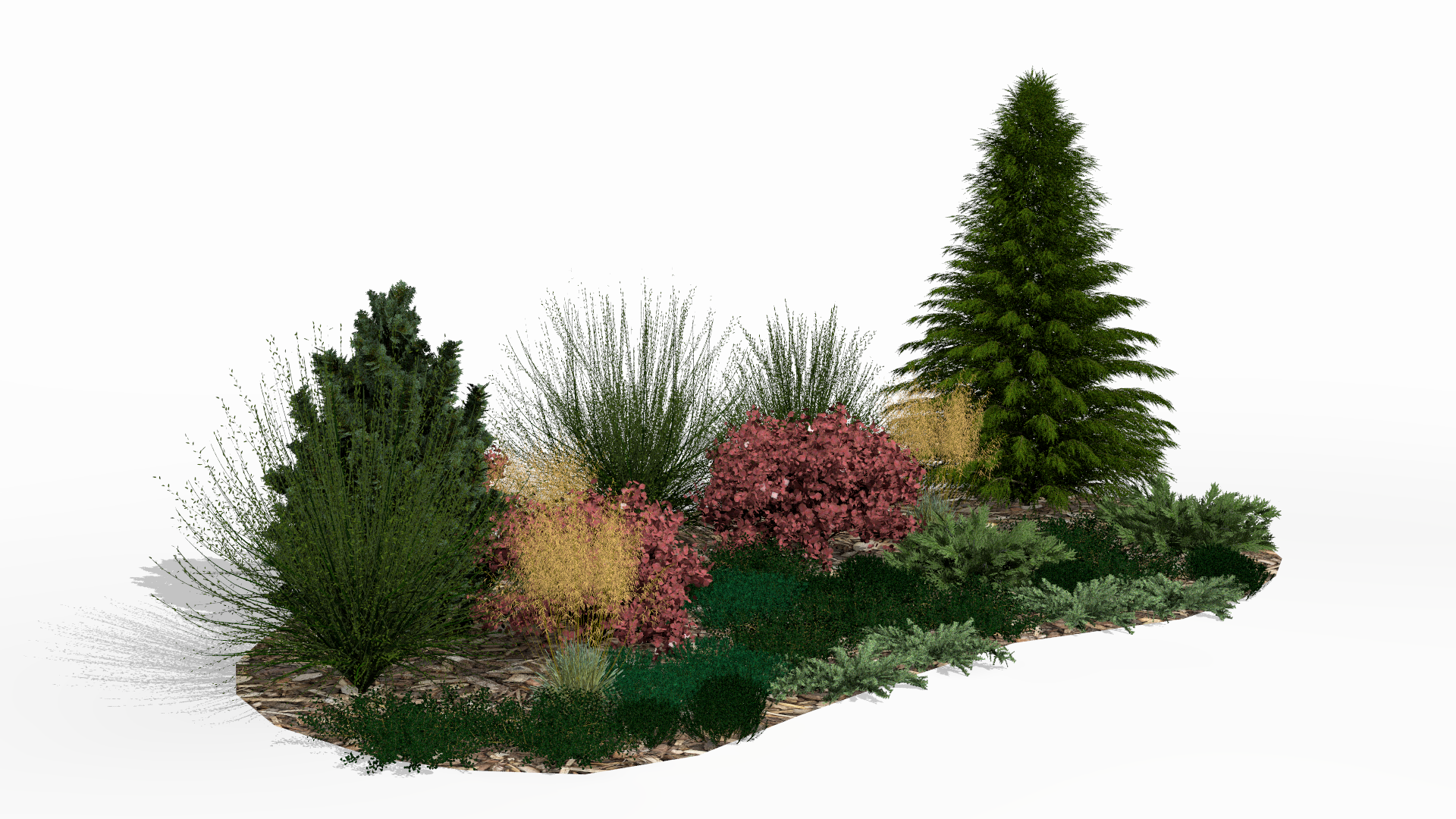 In autumn the bed gains a new dimension thanks to purple leaf tones and golden grasses, which contrast harmoniously with the unchanging green of the conifers