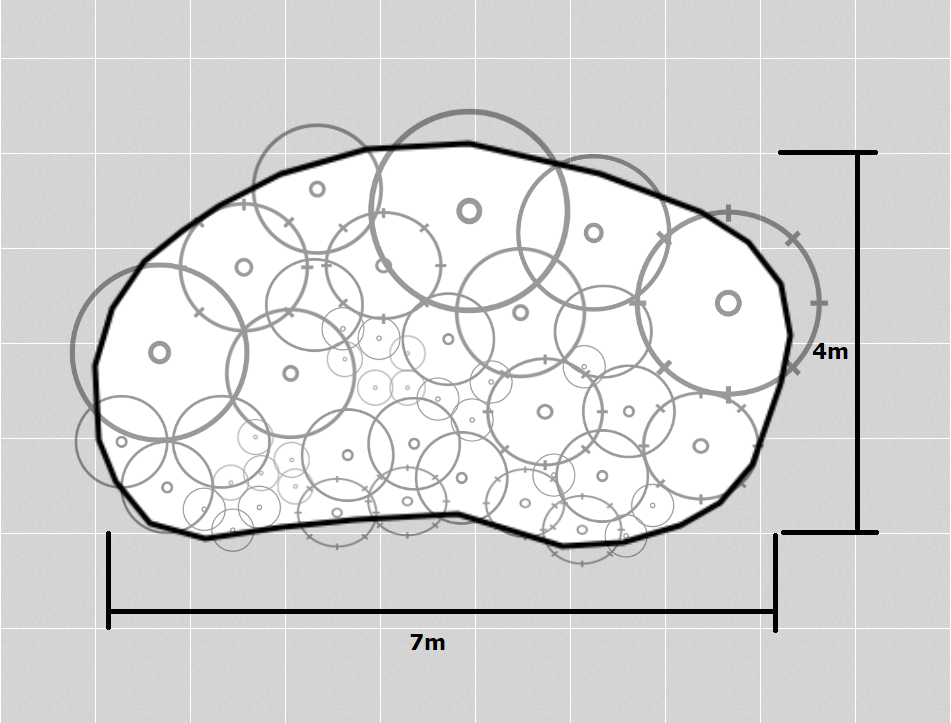 Garden bed plan with dimensions and plant placement.