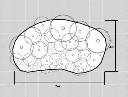 Garden bed plan with dimensions and plant placement.