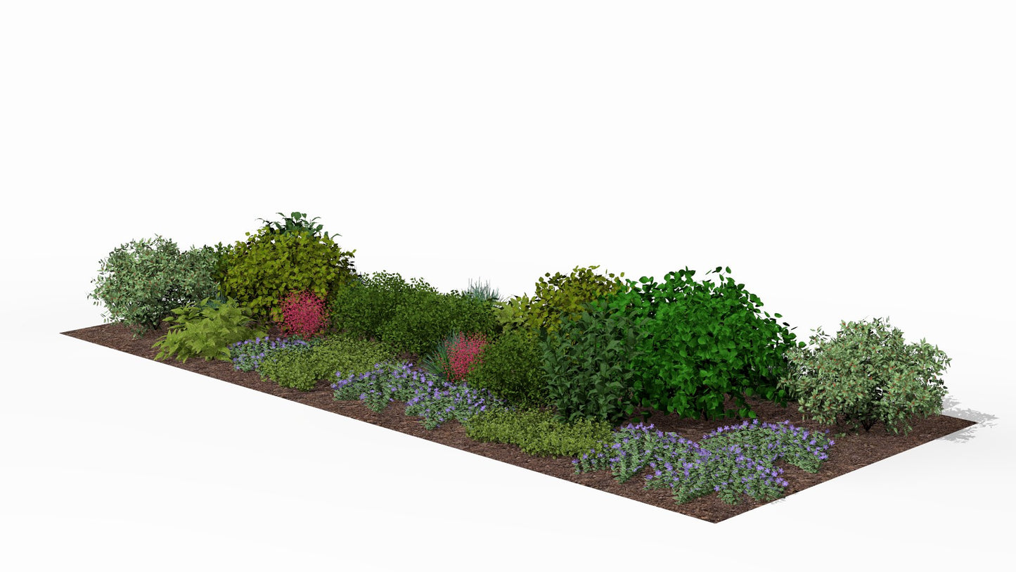 The garden bed in spring, at the start of the growing season with the first plants beginning to bloom