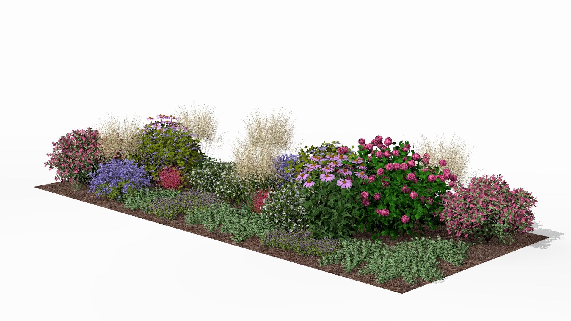 The height of the summer season - a wealth of colors in harmonious combination with delicate ornamental grasses