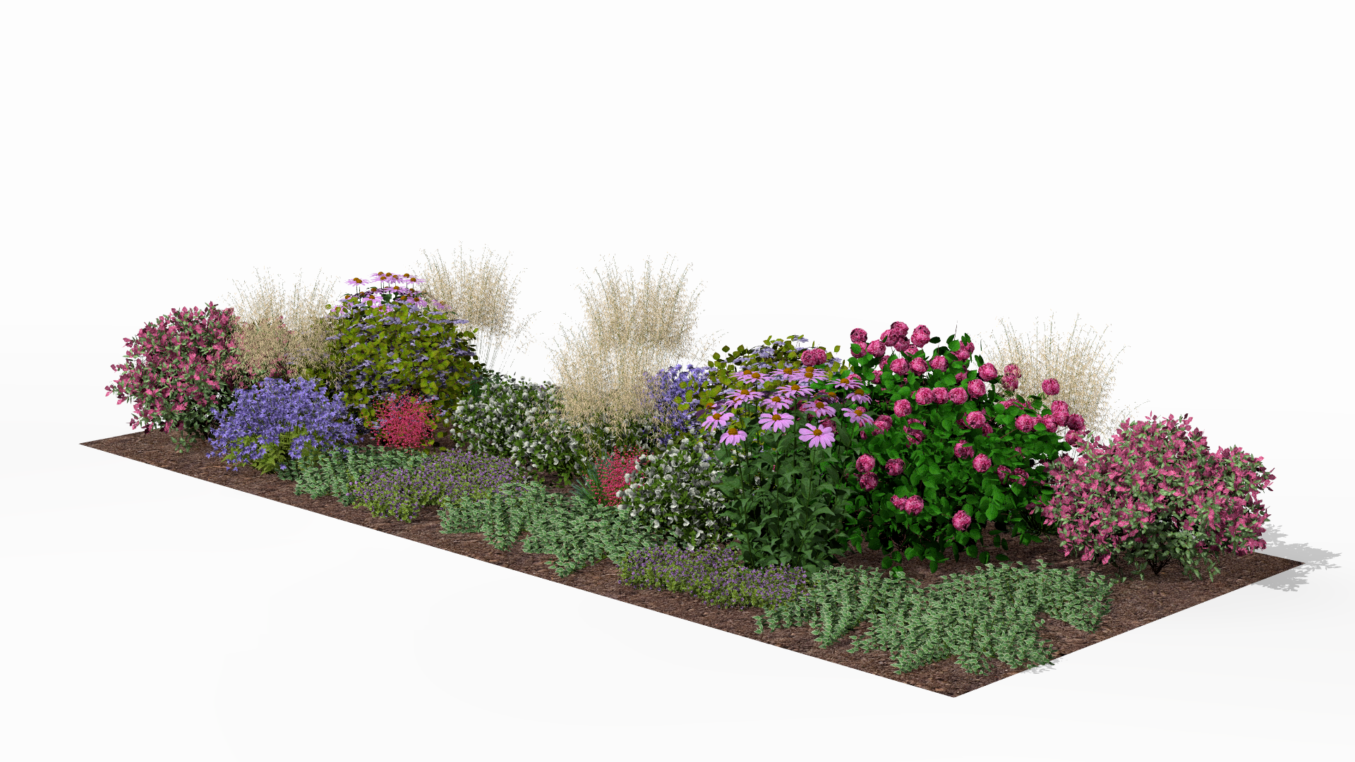 The height of the summer season - a wealth of colors in harmonious combination with delicate ornamental grasses