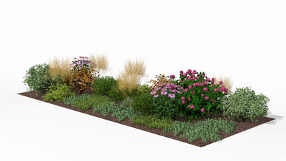 The garden bed in autumn, with ornamental grasses and late-blooming perennials