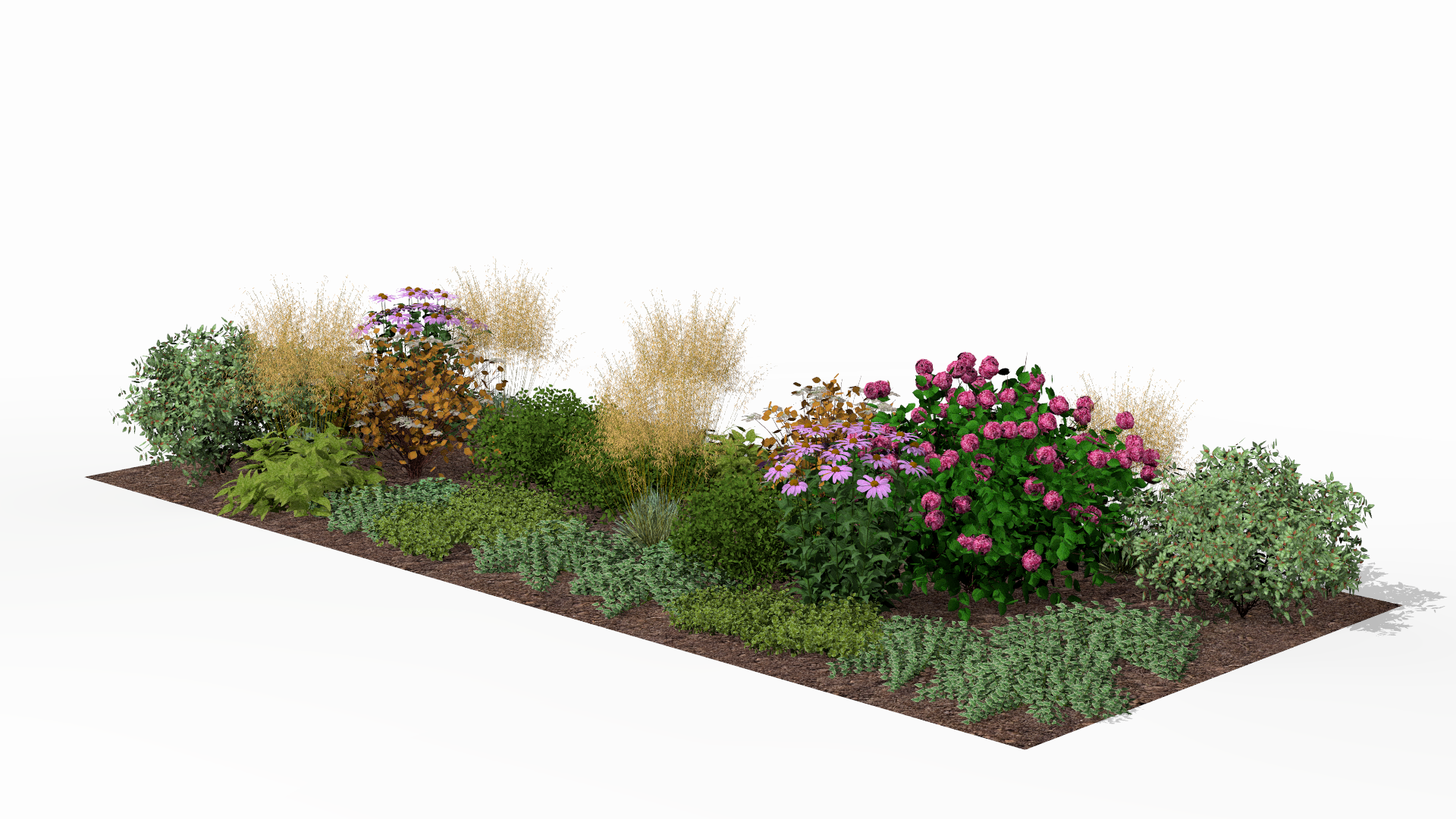 The garden bed in autumn, with ornamental grasses and late-blooming perennials