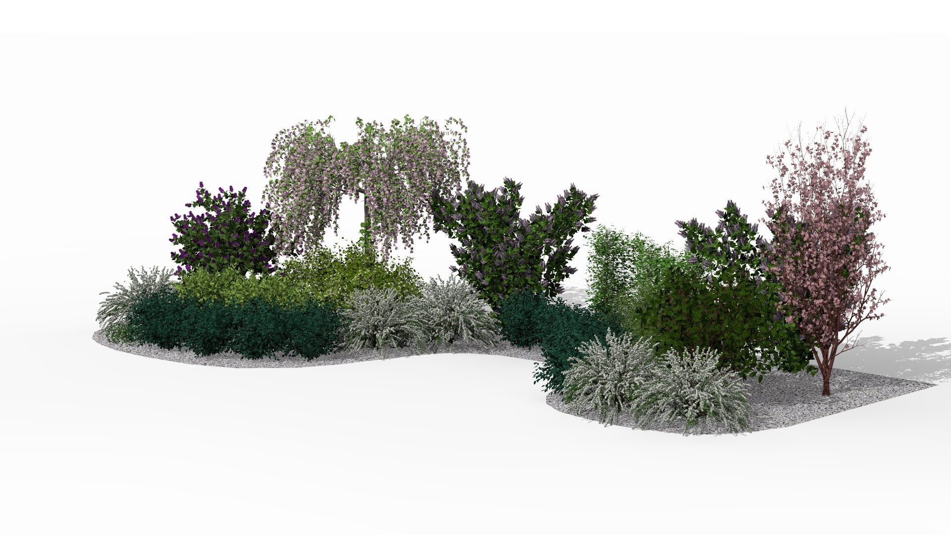 Spring view with flowering Japanese cherries, lilacs, and white spireas in the lower layer of the bed