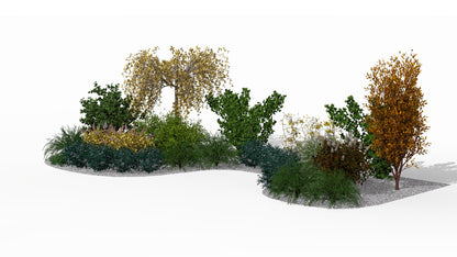 The flowering corner in its autumn guise - golden leaf tones and decorative dried hydrangea flowerheads create a cozy composition
