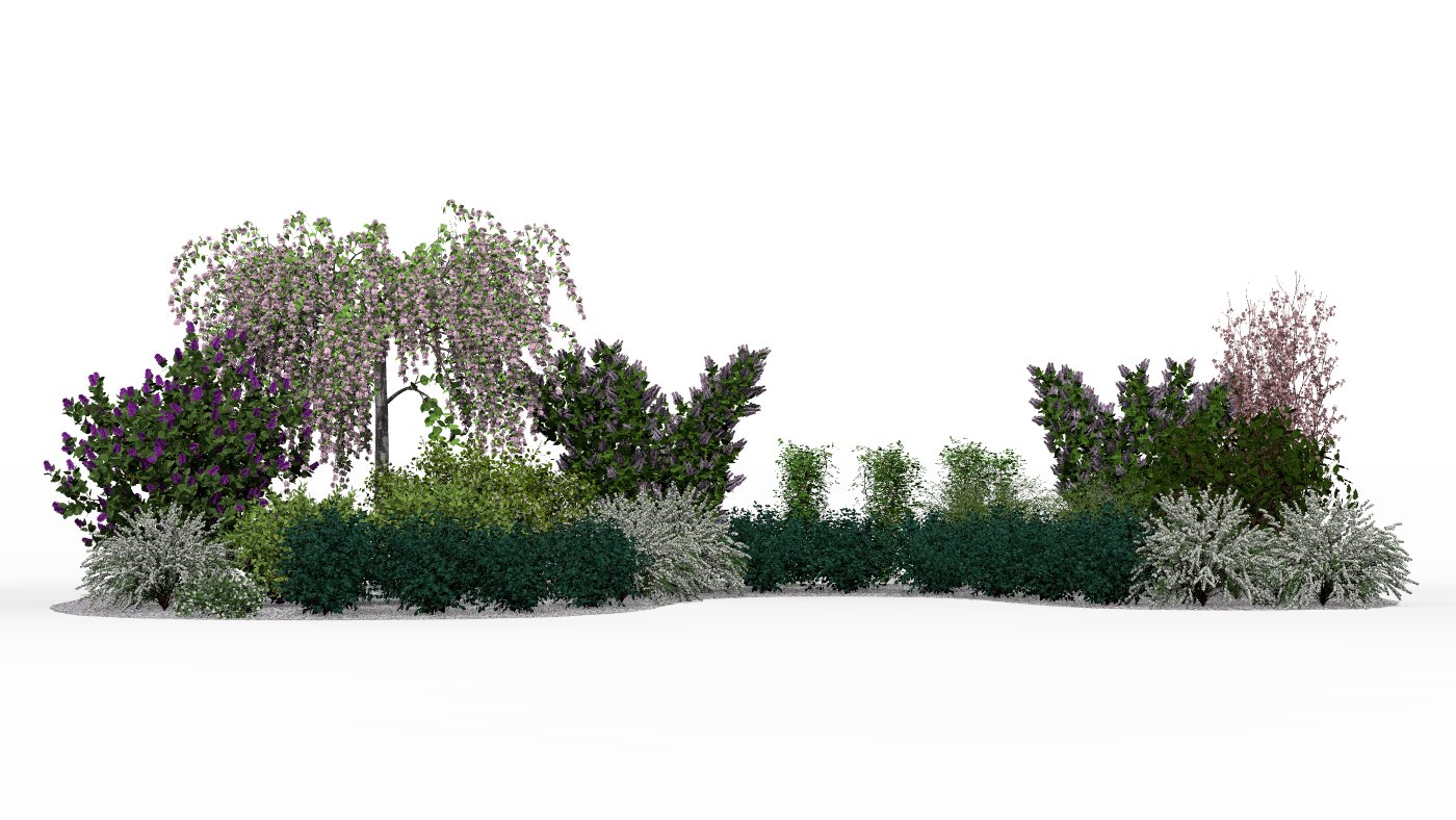 View of the garden bed in spring with flowering cherries and lilacs