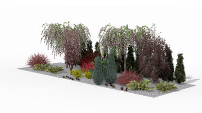Pink-flowering 'Kiku-shidare-zakura' Japanese cherries create a picturesque foreground for the spring screening border, highlighted by the darker accents of barberries and the elegant structure of 'Spiralis' arborvitae