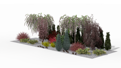 Pink-flowering 'Kiku-shidare-zakura' Japanese cherries create a picturesque foreground for the spring screening border, highlighted by the darker accents of barberries and the elegant structure of 'Spiralis' arborvitae