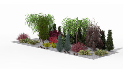In summer the smoke tree with its intensely purple leaves takes center stage, complemented by golden Berberis 'Aurea', coppery accents of leatherleaf sedge, and soaring arborvitae forming a strong, architectural foundation for the composition