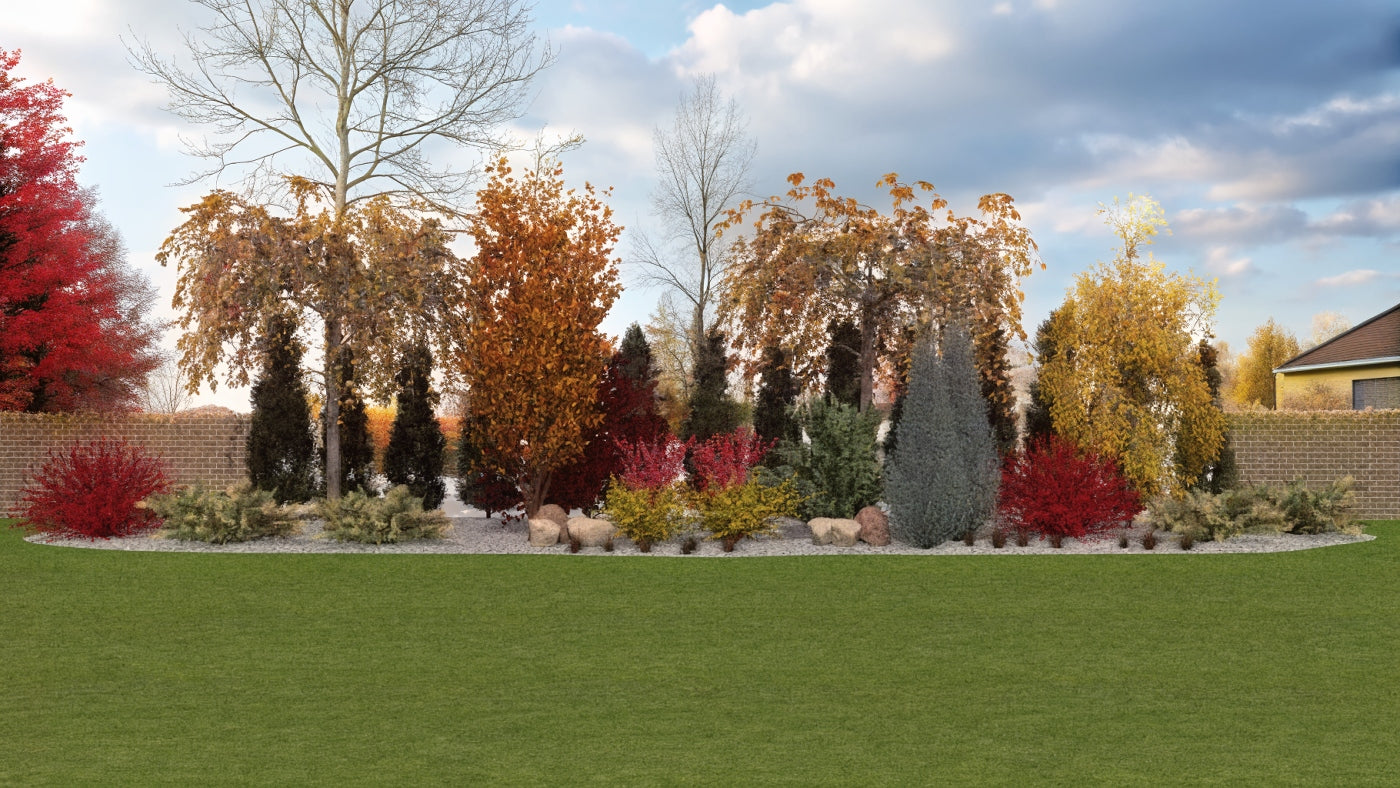View of the border in autumn, with striking warm colors of the turning leaves