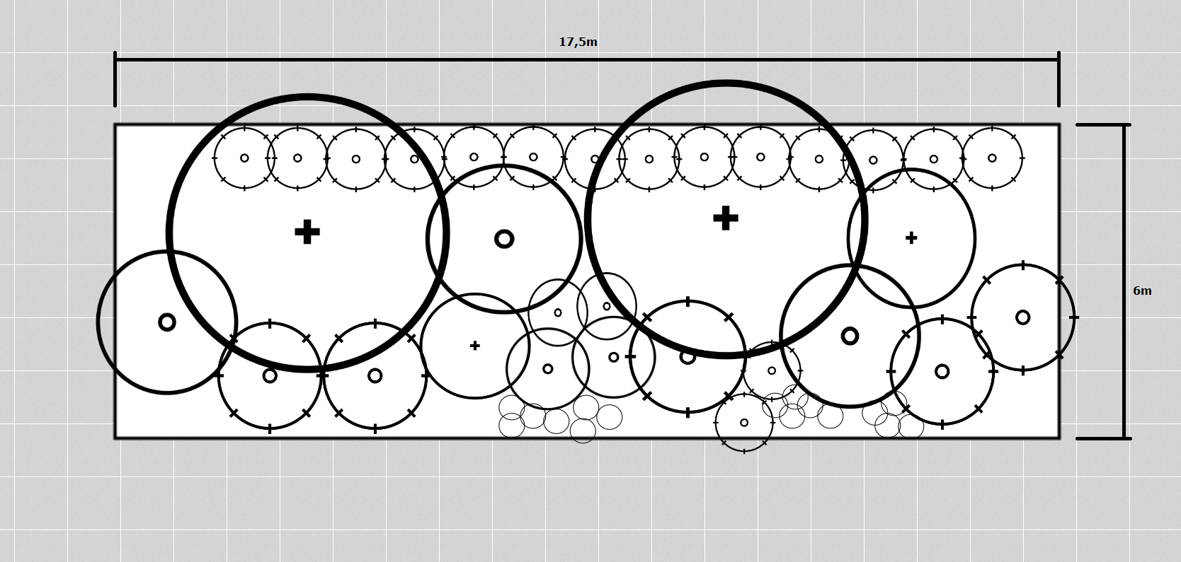 Border plan with dimensions and plant placement