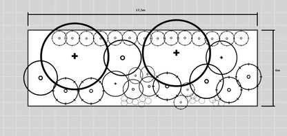 Border plan with dimensions and plant placement