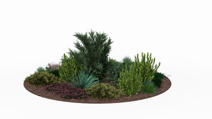 The bed's spring debut - pink heath flowers wrap around the soaring juniper, creating a colorful island awakening to life