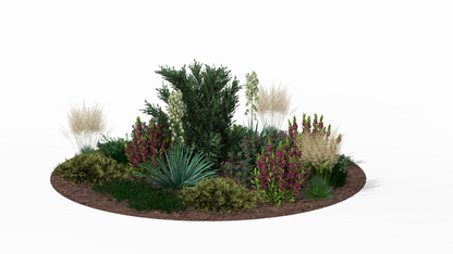 Summer scene - intensely purple mountain laurel blooms contrast with the pale yucca and golden grasses, forming a colorful composition around the central juniper