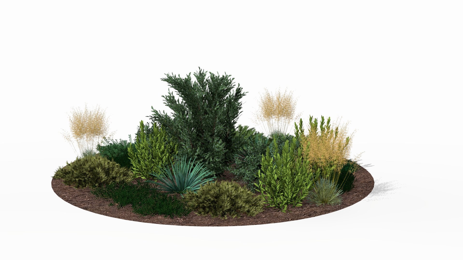 Autumn view of the island - golden ornamental grasses surround lush green mountain laurels and the silvery yucca, creating a warm palette of colors around the majestic juniper