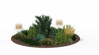 Autumn view of the island - golden ornamental grasses surround lush green mountain laurels and the silvery yucca, creating a warm palette of colors around the majestic juniper