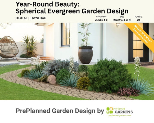 Year-Round Beauty: Spherical Evergreen Garden Design