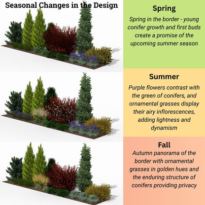 Evergreen Privacy Border: Needles & Colors