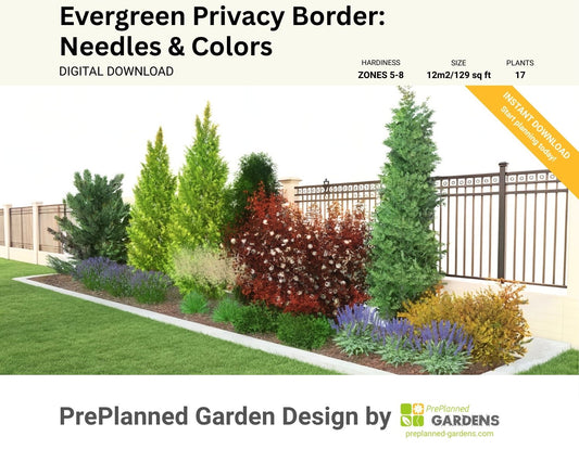 Evergreen Privacy Border: Needles & Colors