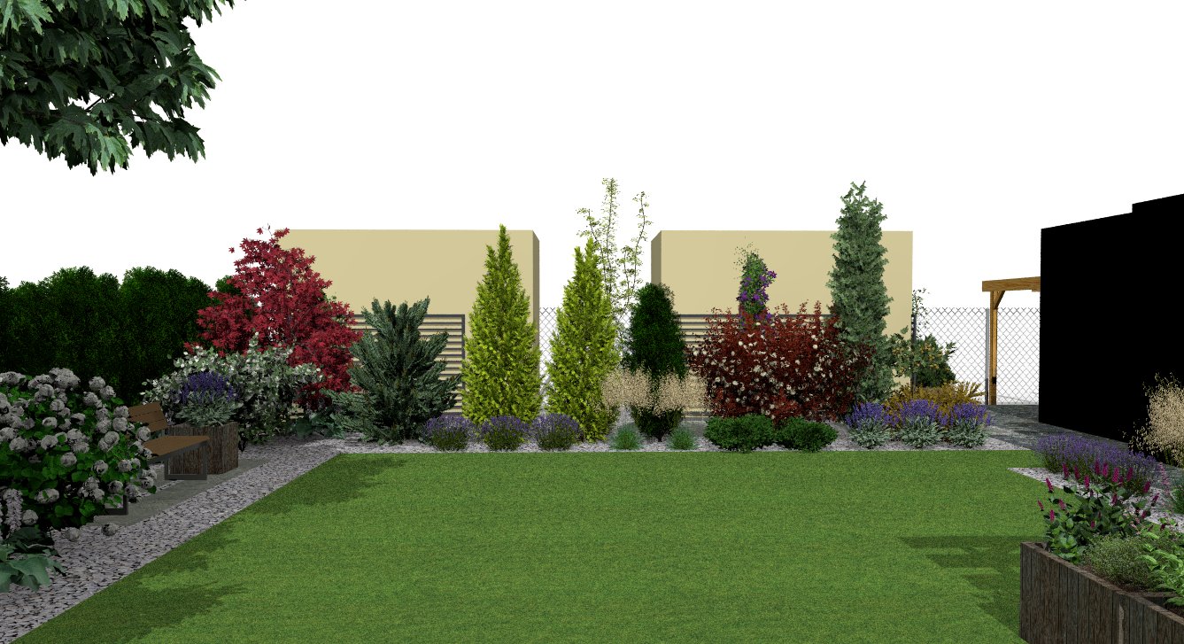 Summer visualization of the Needles and Colors evergreen privacy border