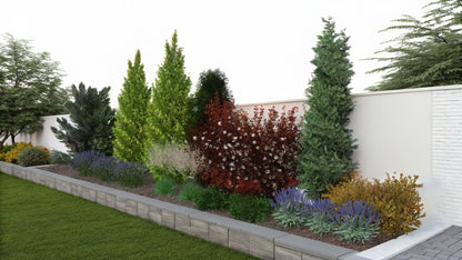 Evergreen Privacy Border: Needles & Colors