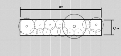 Evergreen Privacy Border: Needles & Colors
