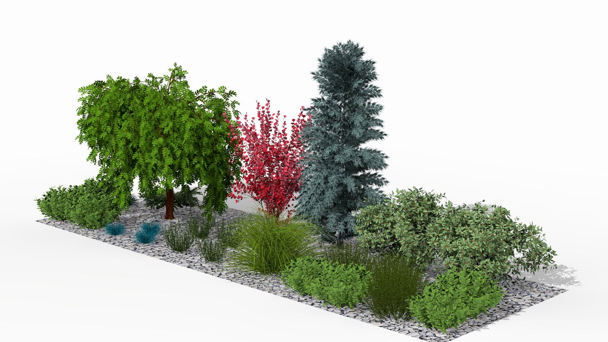 A spring symphony of colors - intense reds, silvery accents, and fresh greens form a harmonious drought-resistant composition