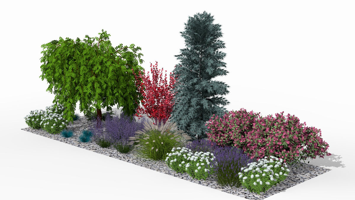 Summer flowering at its peak - aromatic purples, pink accents, and white blooms fill the composition with a richness of colors and scents