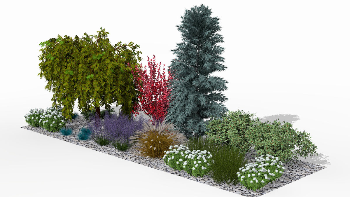 An autumn palette of warm hues - golden grasses, blazing reds, and white accents against the evergreen structure