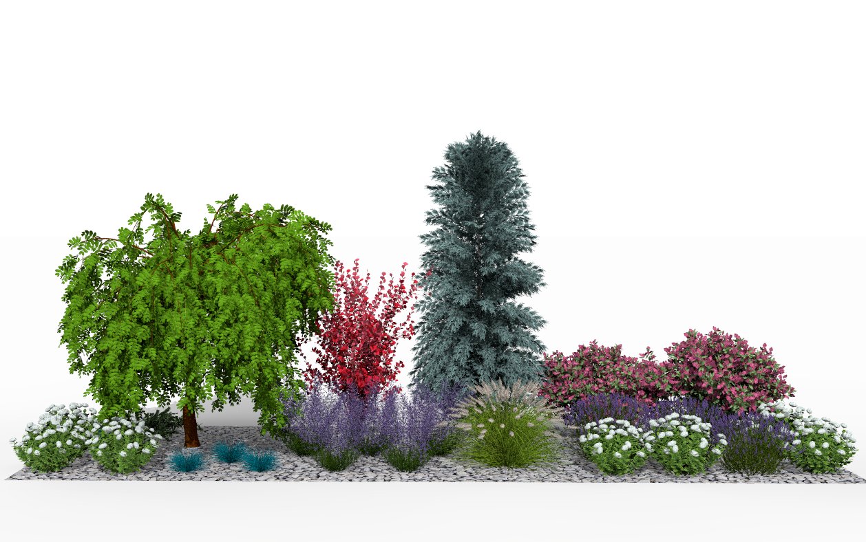 View of the garden bed at the height of the summer season
