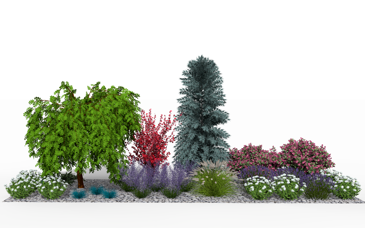 View of the garden bed at the height of the summer season