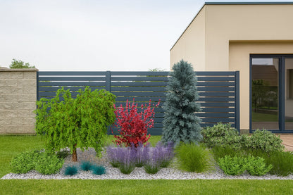 The garden bed's spring awakening - fresh greens contrast with the red of barberry and silvery juniper beside the modern architecture of the house and fence