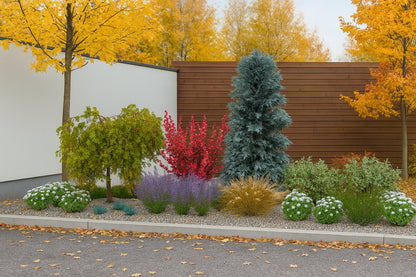Autumn harmony - golden grasses and warm hues complete the contrasting composition of the bed along a sunny driveway