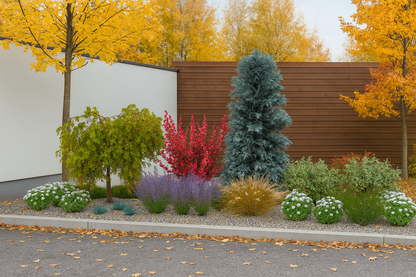Autumn harmony - golden grasses and warm hues complete the contrasting composition of the bed along a sunny driveway