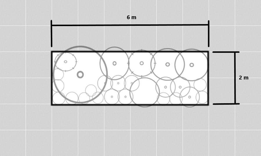 Garden bed plan with dimensions and plant placement