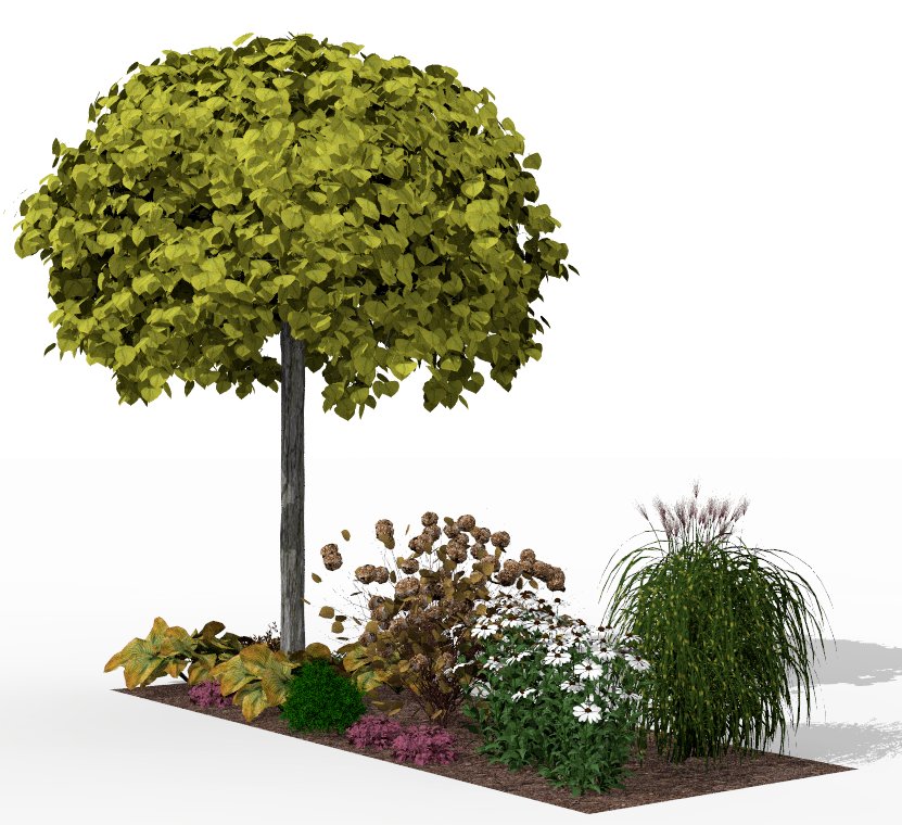Autumn charm of the garden bed with ornamental grass plumes